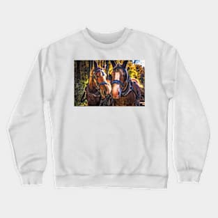 Horse Pride 2 Crewneck Sweatshirt